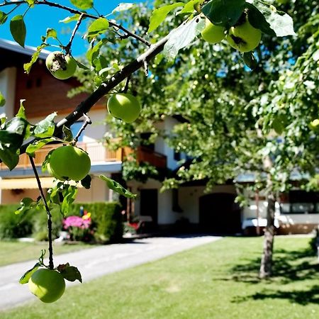 Haus Obermoser Dellach im Drautal Exterior foto
